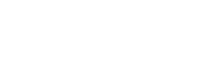 Fortis Motor Group